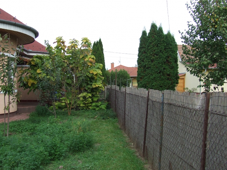 for rent house Szigetszentmiklós Lakihegy Budapest előváros 180 m<sup>2</sup> 200 ezer Ft / hó